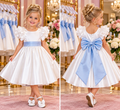 Blue Bow Belle Dress